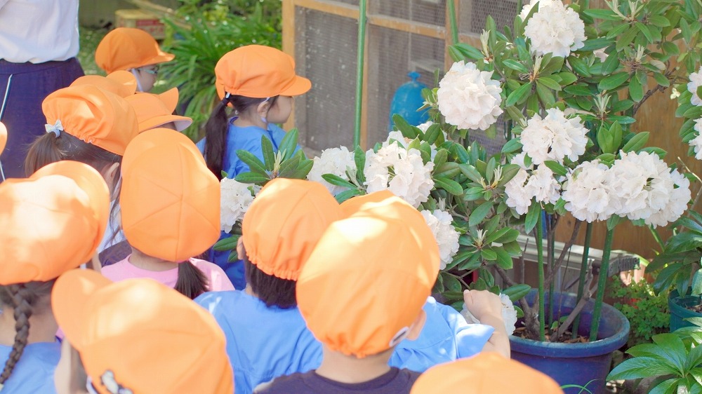 千住寿幼稚園について