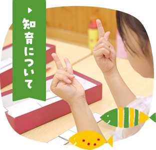 知育について