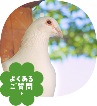 よくあるご質問 