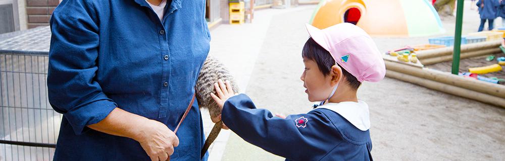 千住寿幼稚園の環境