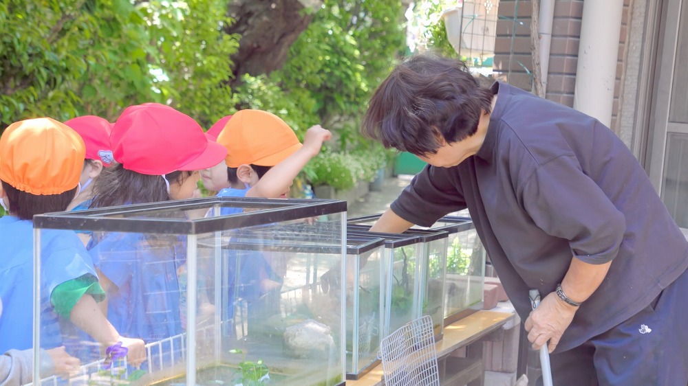 知育・情操・体育の融合で調和のとれた子どもを育てます