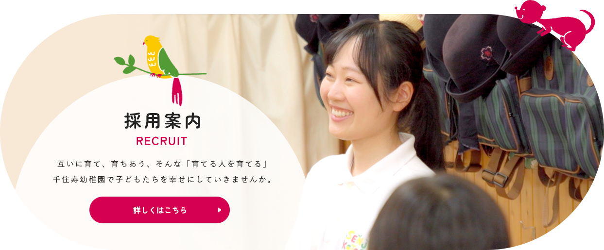採用案内