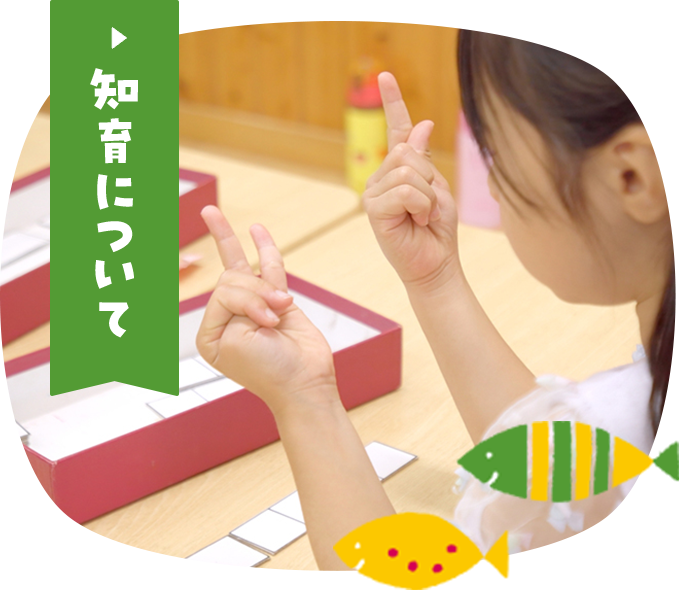 知育について