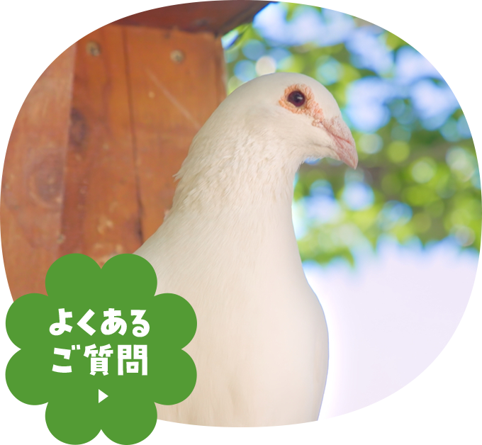 よくあるご質問 
