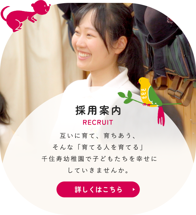 採用案内