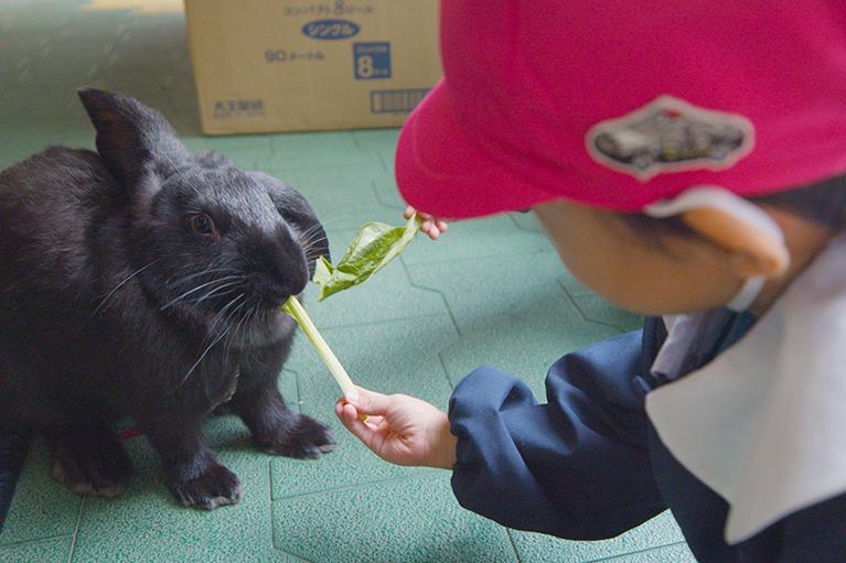 かわいい小動物とお花がたくさん