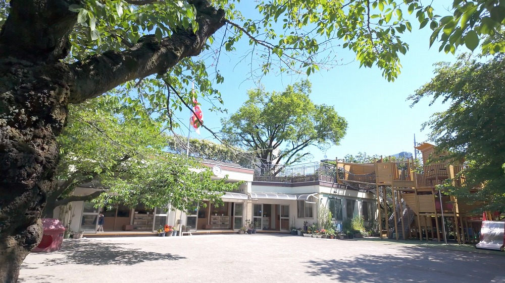 園庭